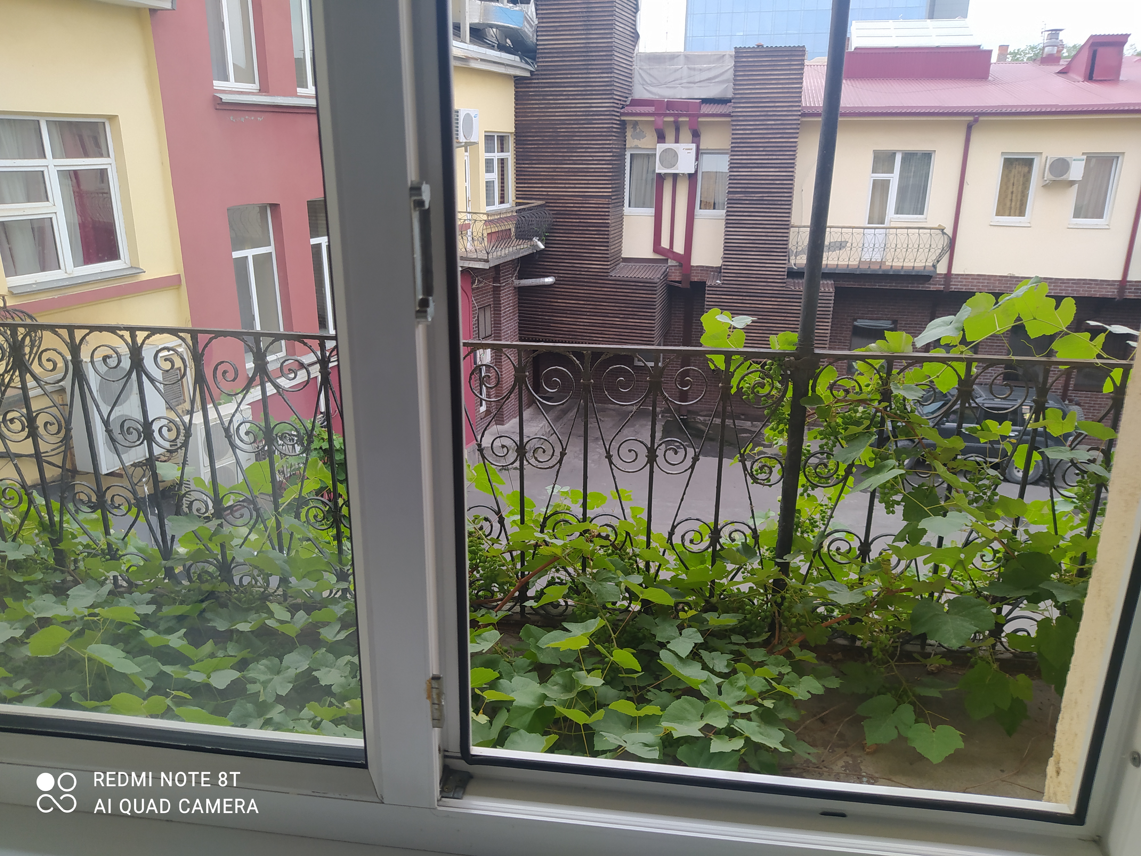 Фото Империал