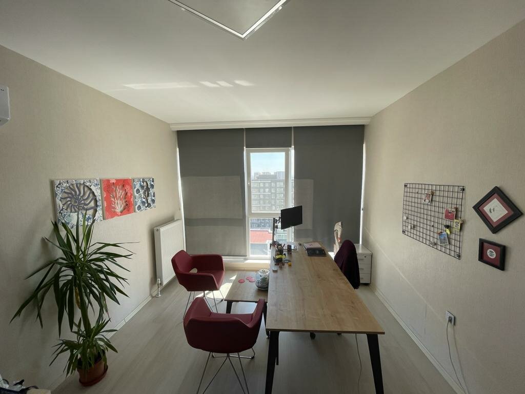 Web design studio CinFikir Information Technologies, Ankara, photo