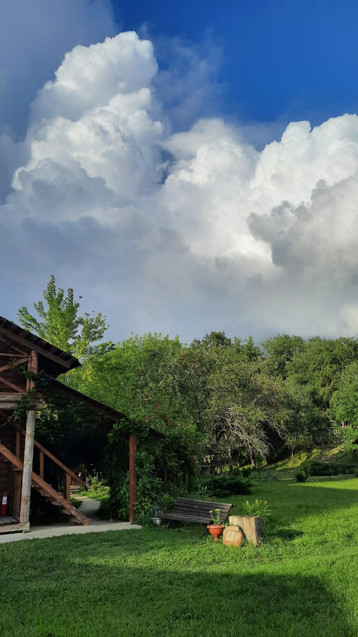 Фото Усадьба Заповедная