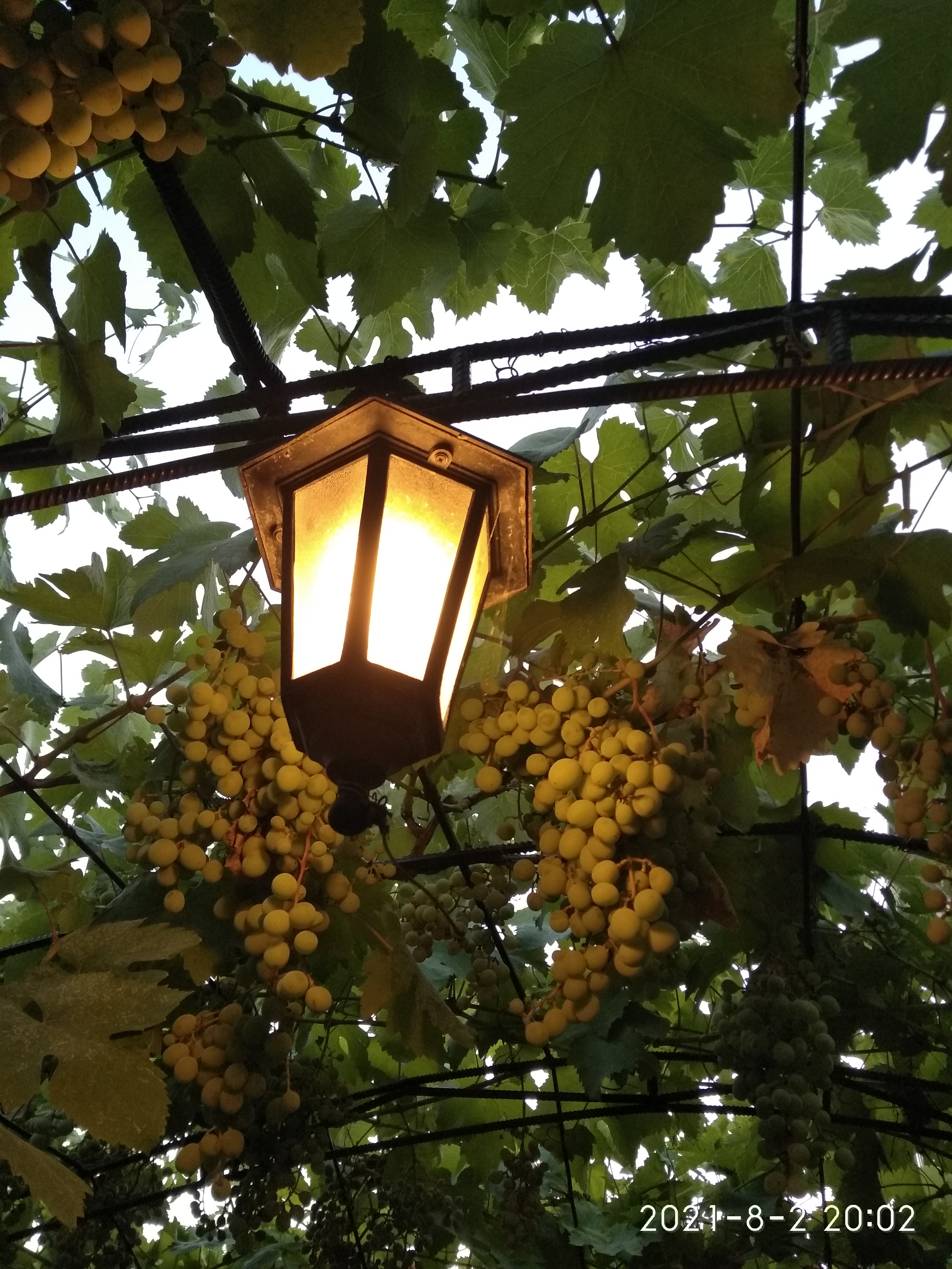 Фото У Чижика