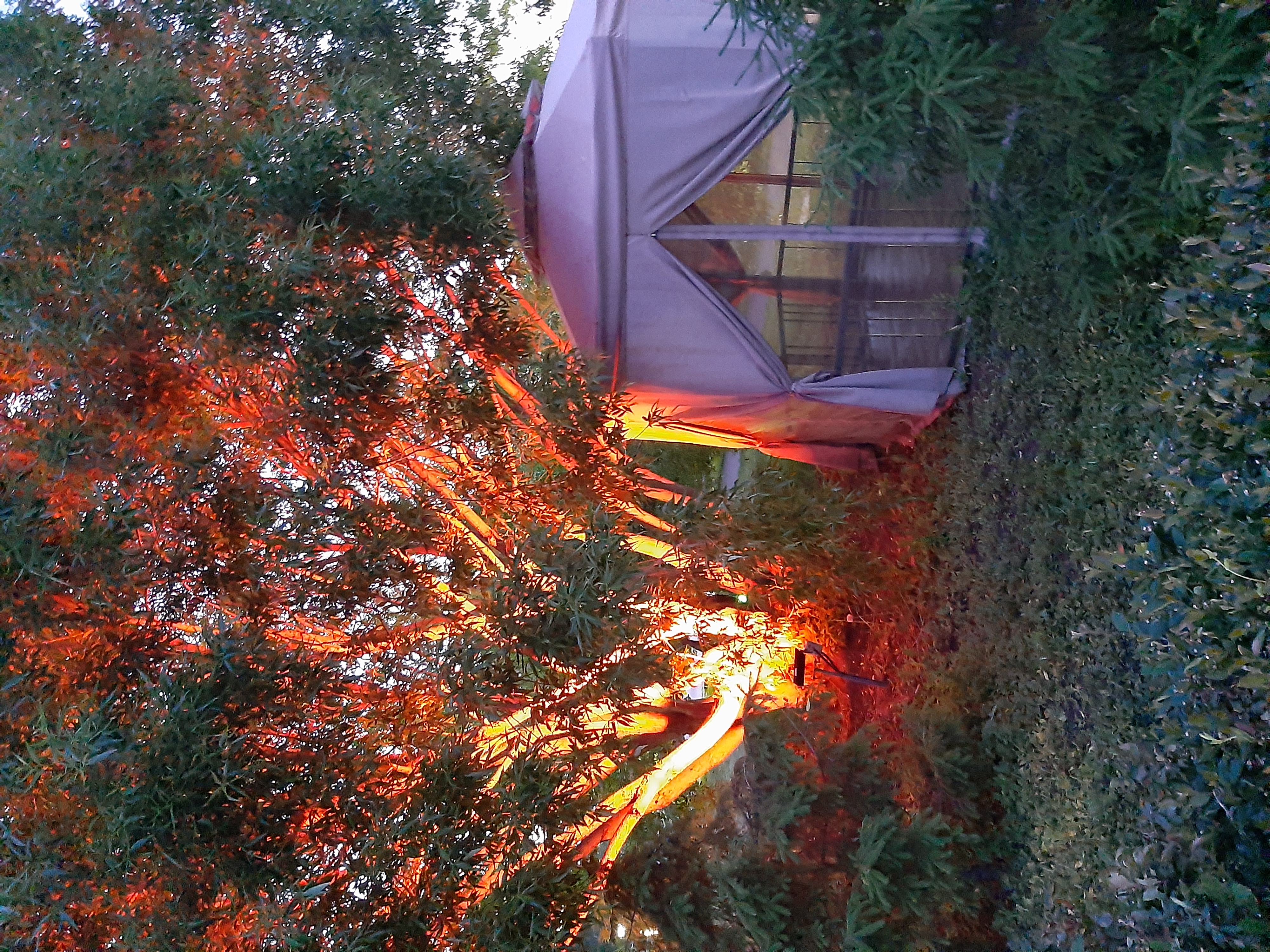 Фото SmolinoPark