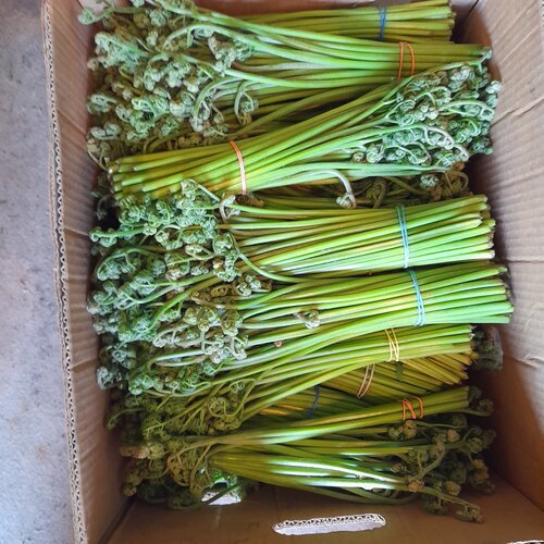 Grocery Продукты, Kemerovo Oblast, photo