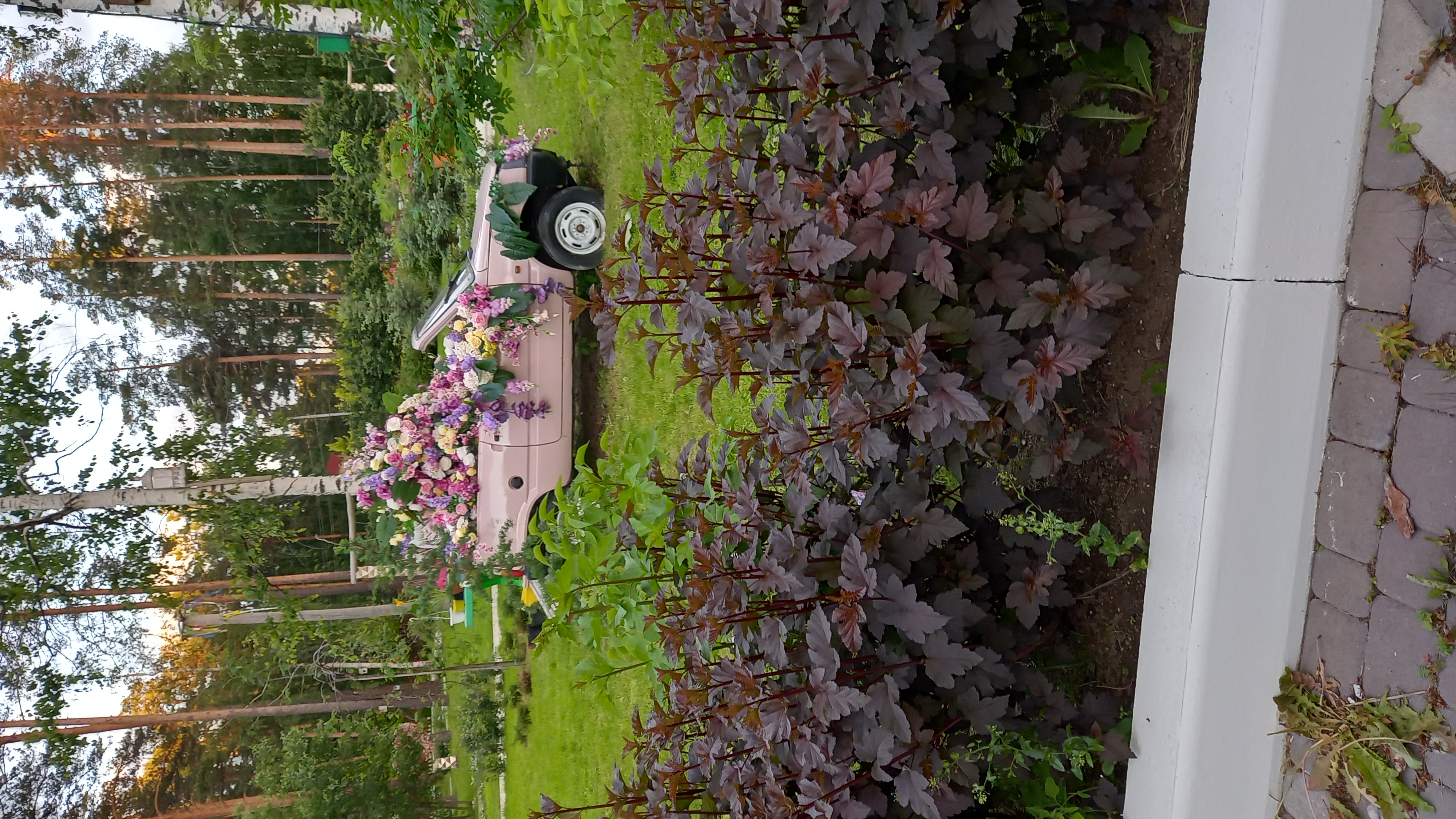 Фото Лесная