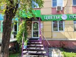 Tsvetochnaya lavka Vesna (Gazety Krasnoyarskiy Rabochiy Avenue, 84) ، محل زهور