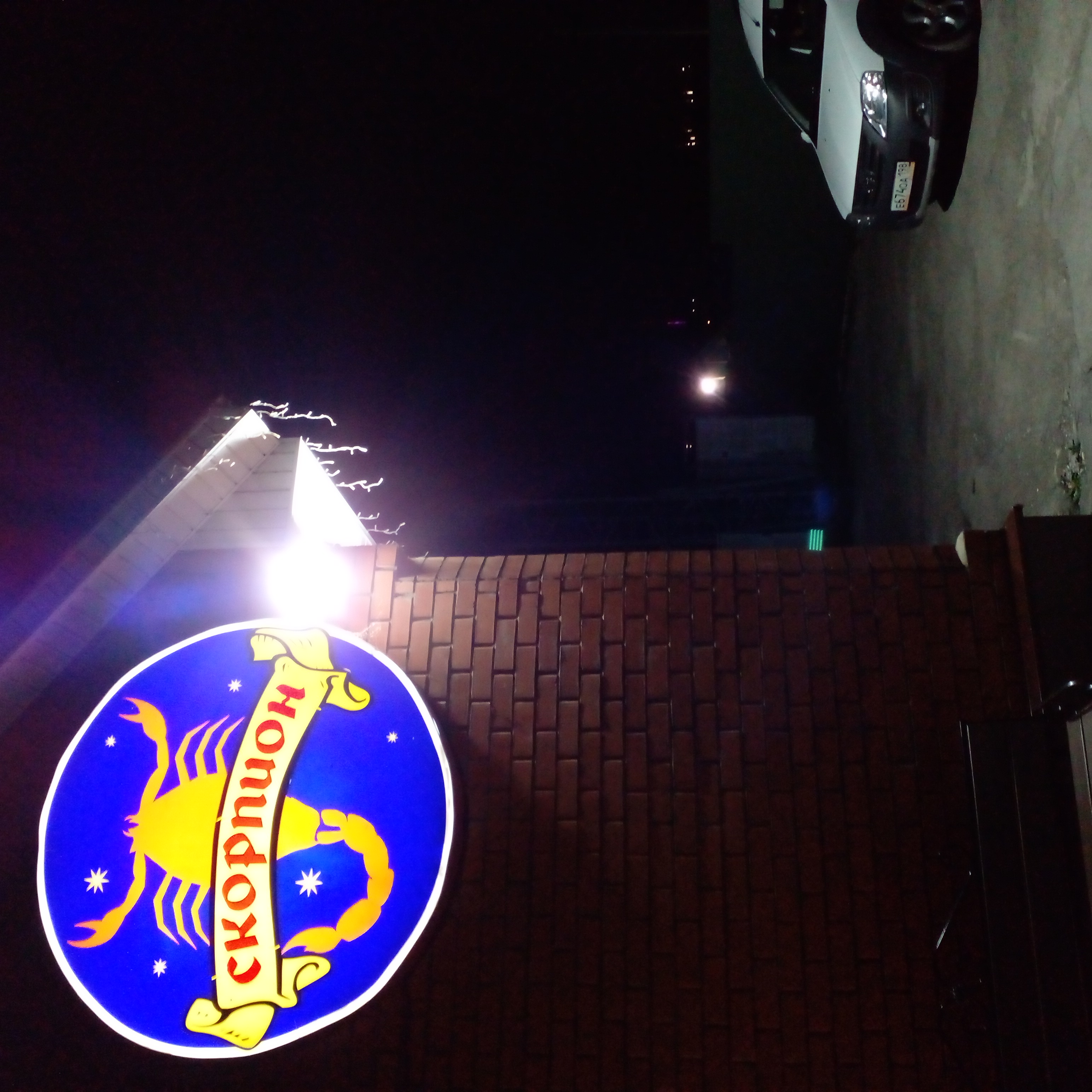 Фото Скорпион