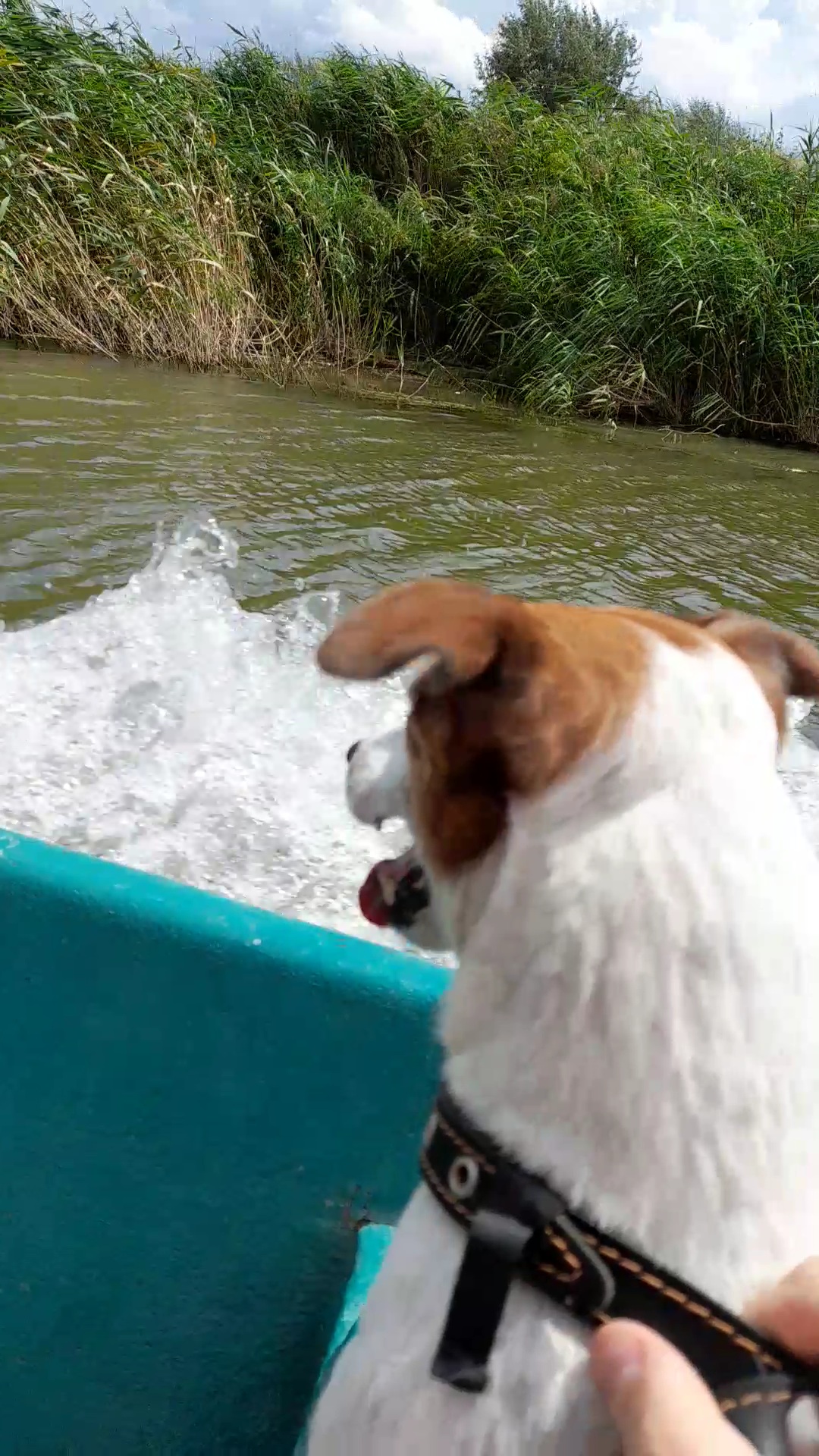 Фото Тортуга