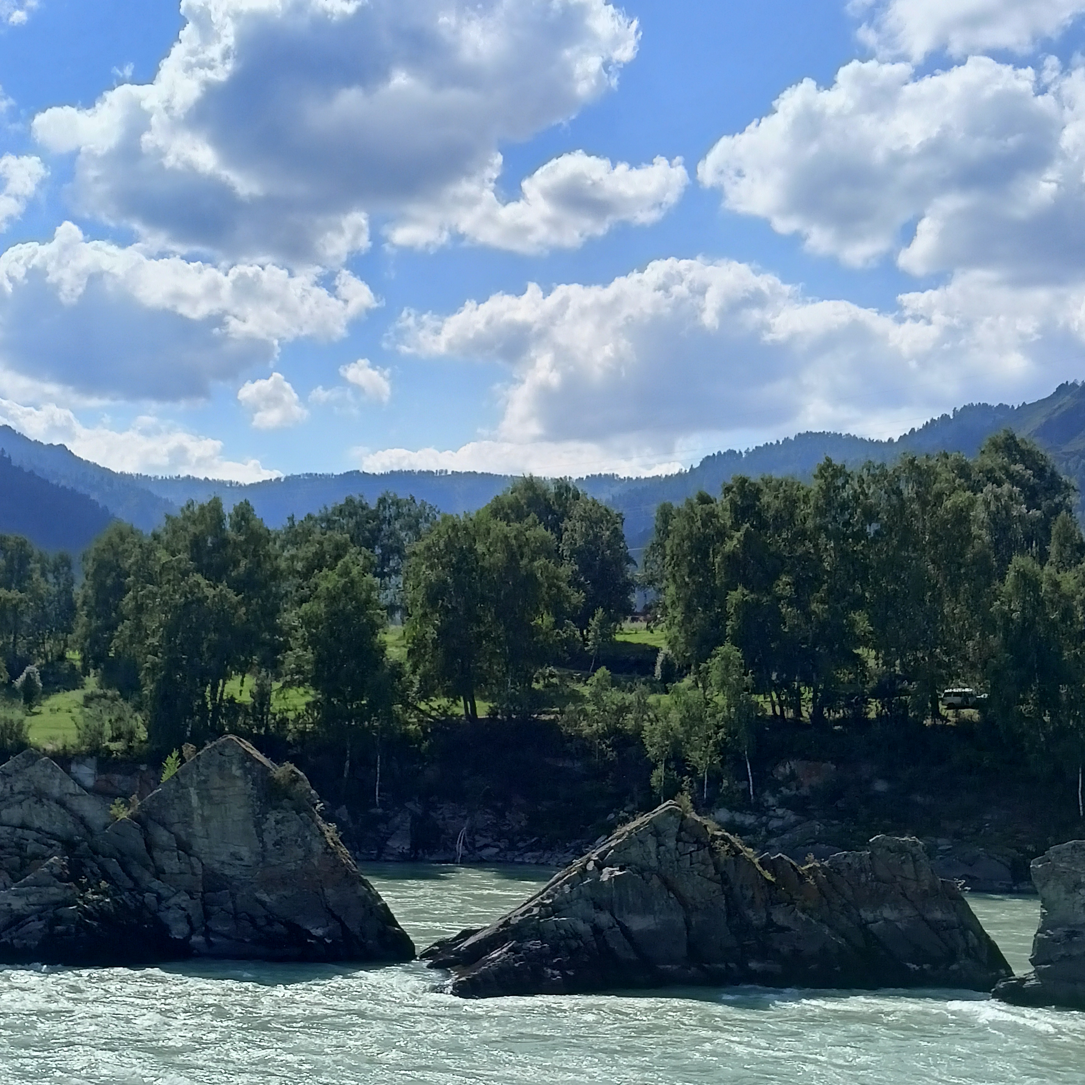 Фото Зубы Дракона