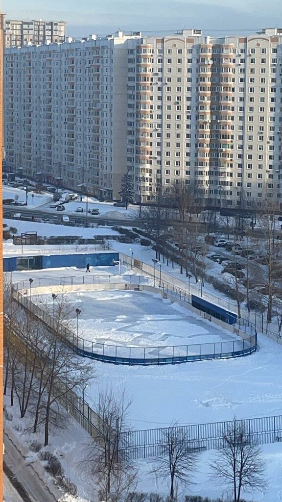 ملاعب رياضية Хоккейный клуб Лидер Люблино ، موسكو، صورة