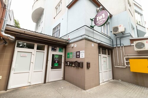 Хостел Гагарин Hostel в Светлогорске