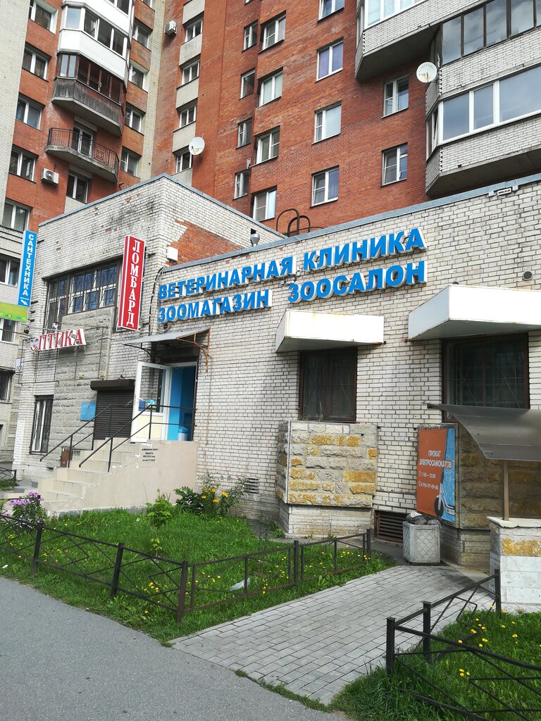 035 а северная пальмира фото