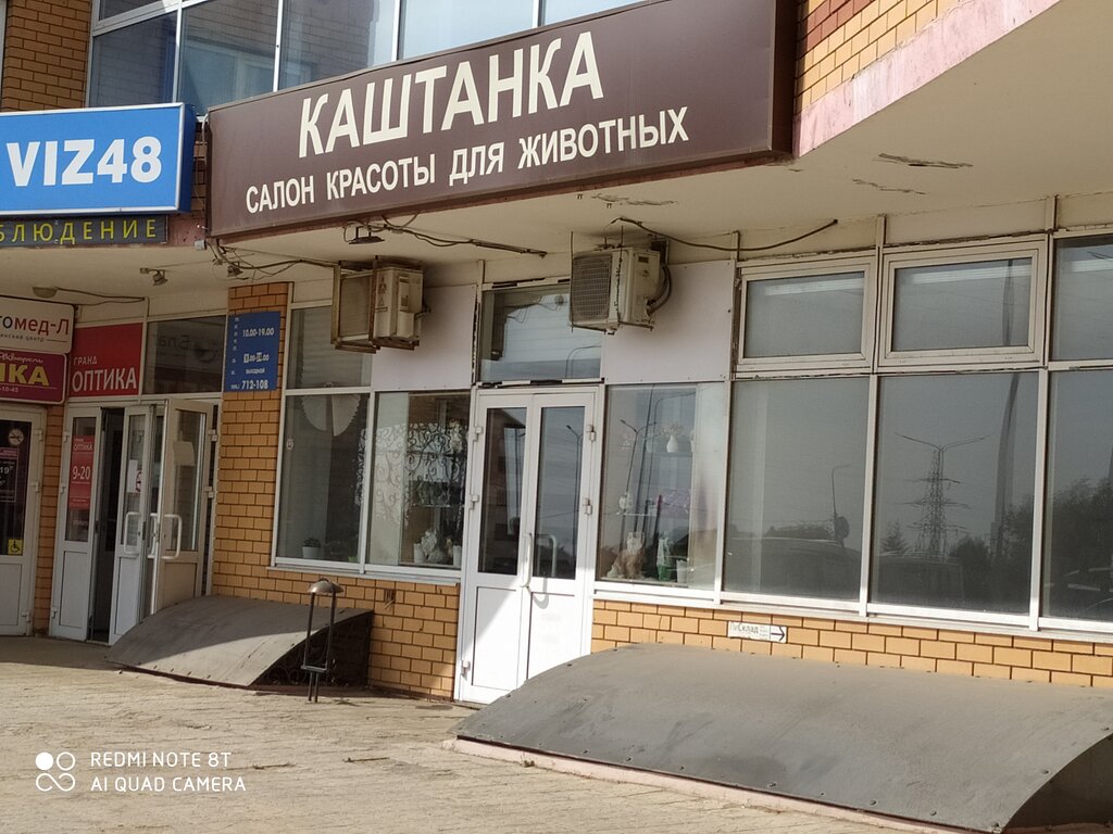 Каштанка просп победы 106а фото