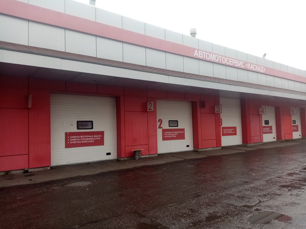 Форд мазда автосервис новокузнецк