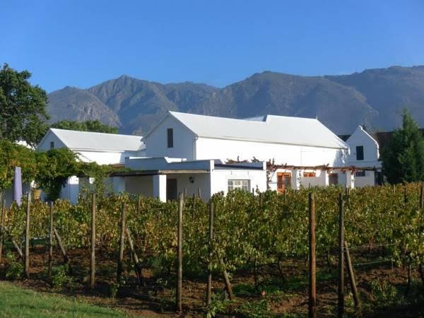 Фото The Vineyard Country House