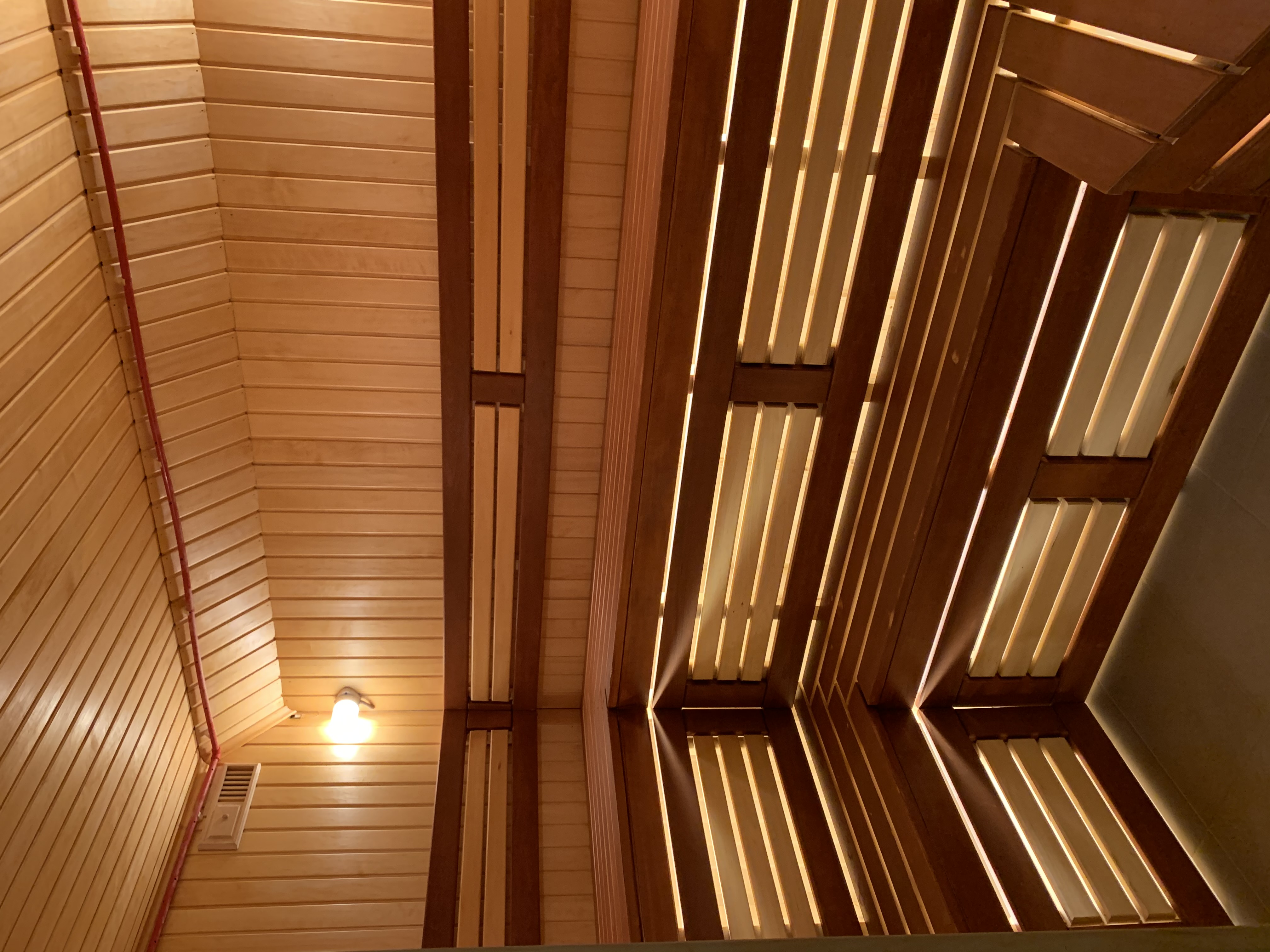 Фото Домашняя