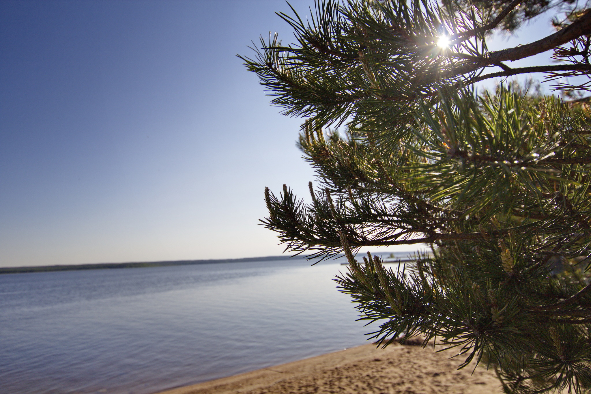 Фото Лосево Парк