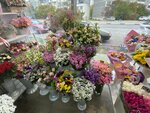 Флоренция (ул. Видова, 222), магазин цветов в Новороссийске