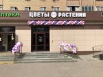 FlowerAnna (Zheleznodorozhny Microdistrict, Novaya ulitsa, 43), flower shop