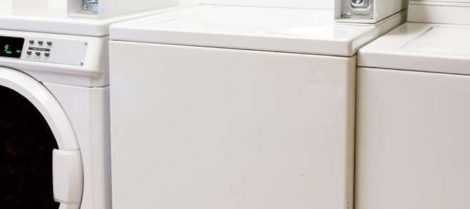 Фото Rodeway Inn