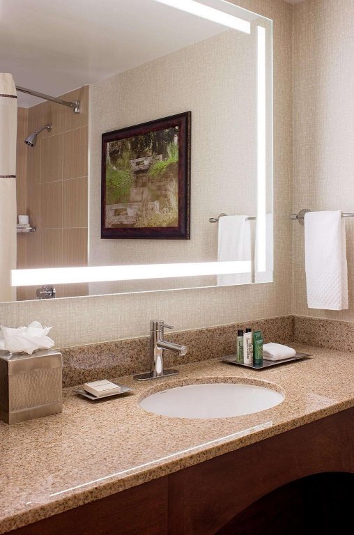 Фото Hilton Houston Galleria Area