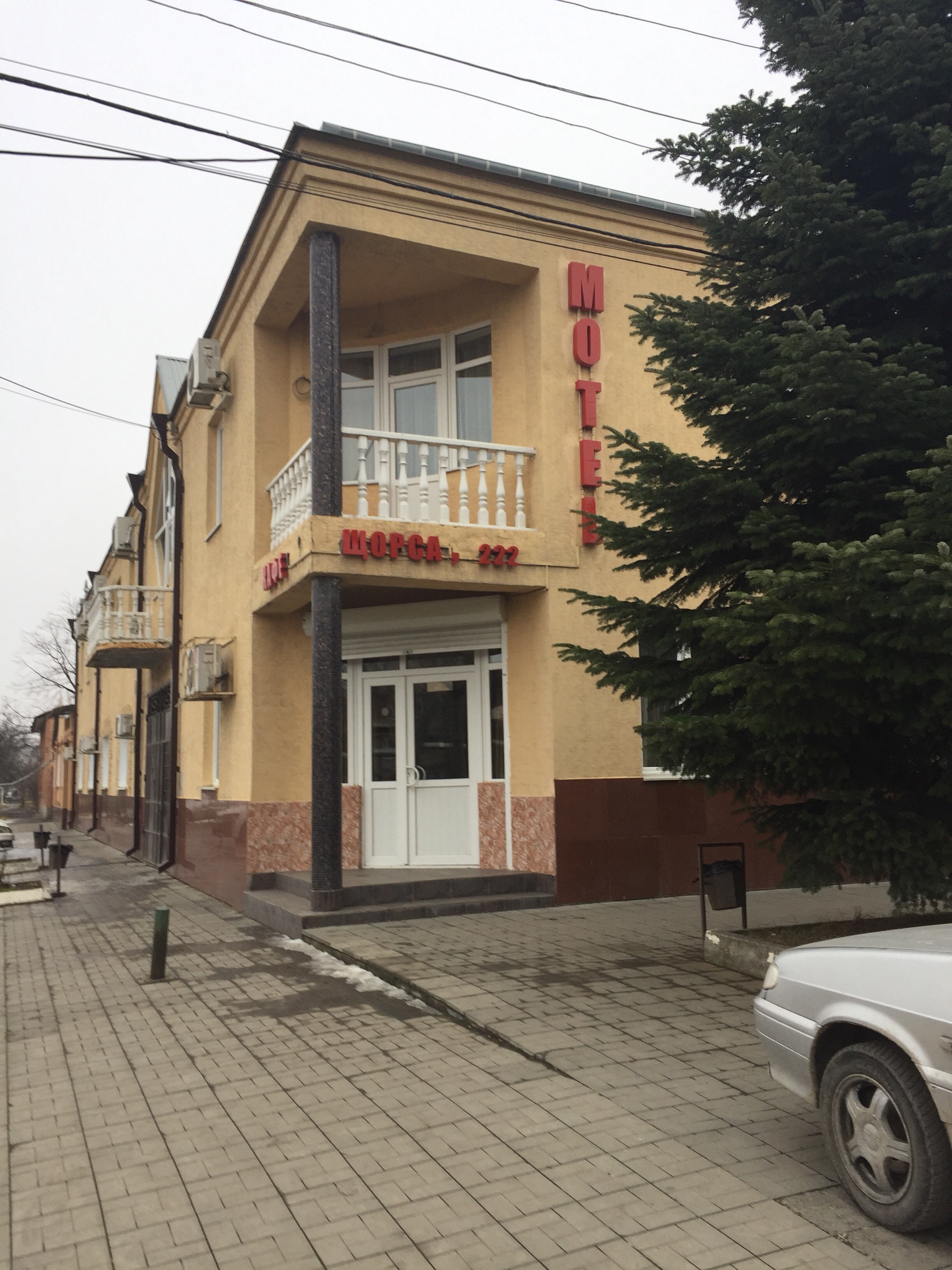 Фото Вероника