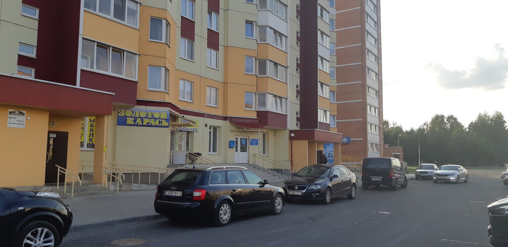Товары для рыбалки Золотой карась, Новополоцк, фото