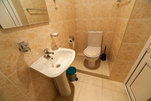 Фото Areni Wine Art