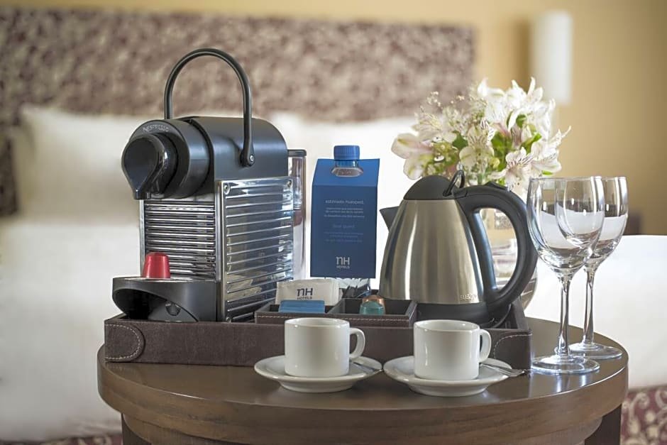 Фото Nh Mendoza Cordillera