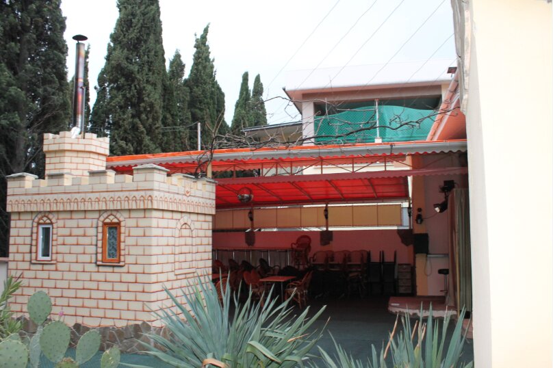 Фото Пальма