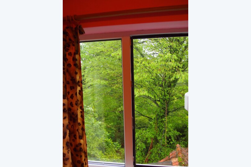 Фото Бамбучок