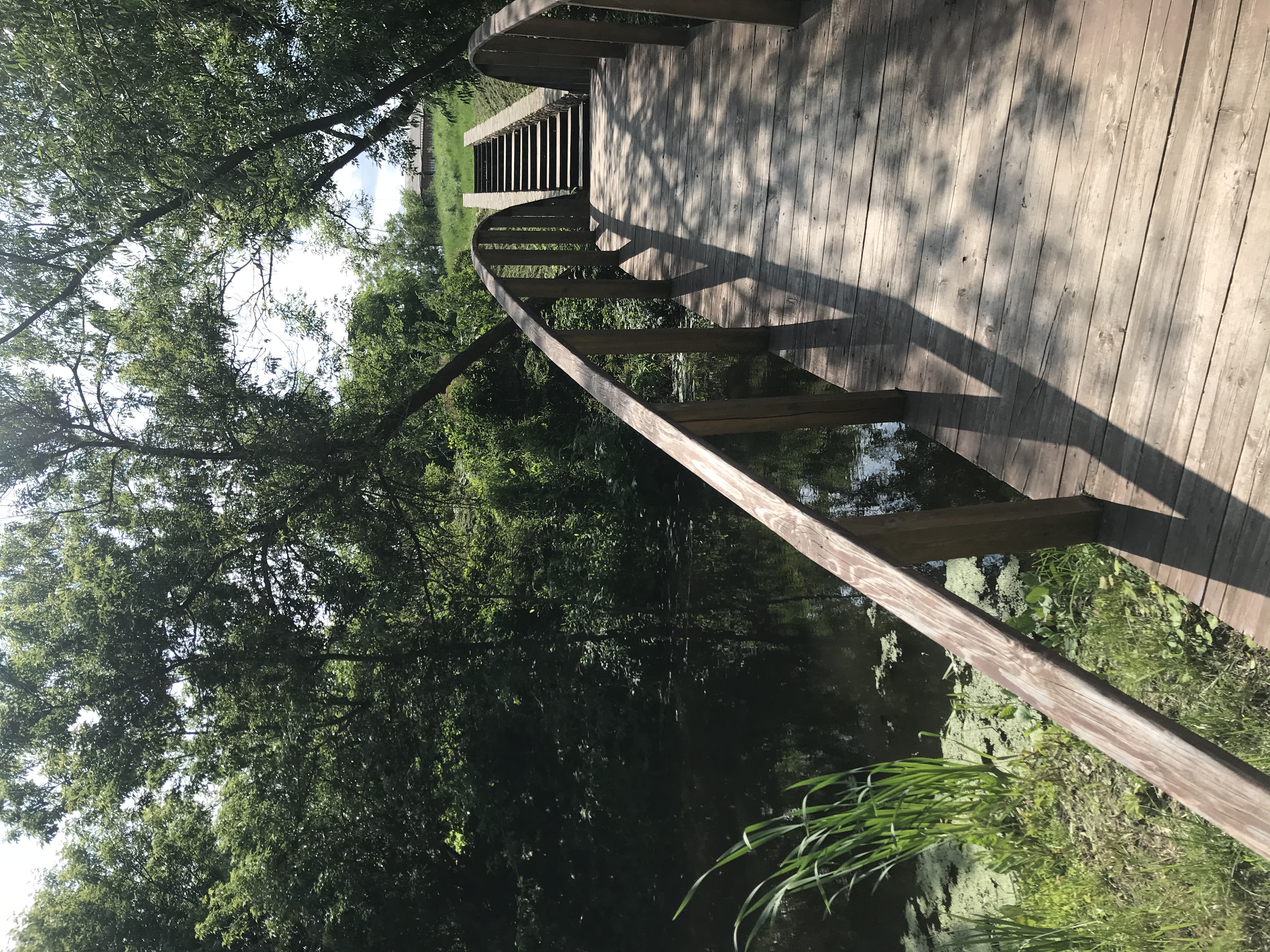 Фото Излучина