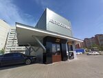 Shintorg (Antonova-Ovseyenko Street, 27Б) ، ورشة لتصليح السيارات