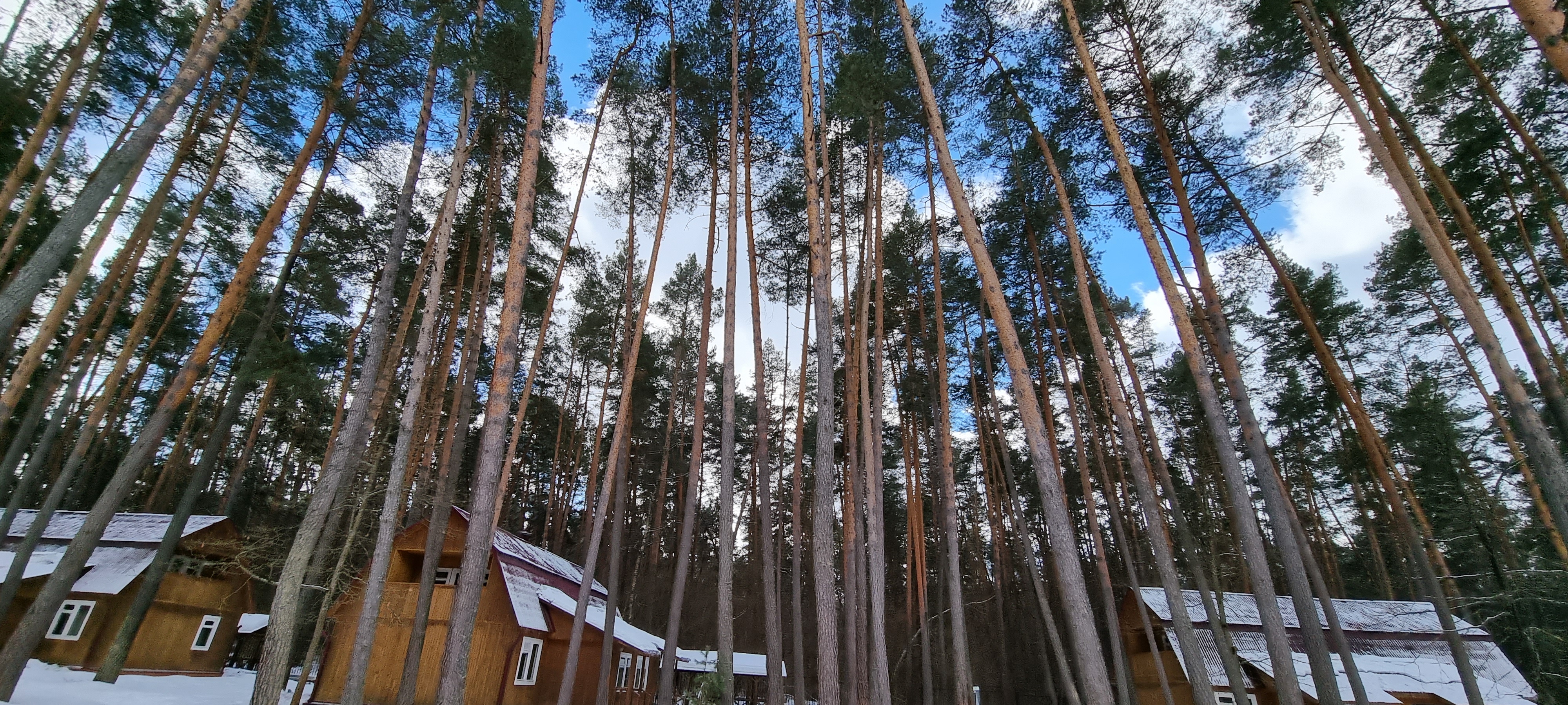 Фото Премьера