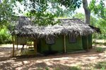 Yala safari and Relax camping