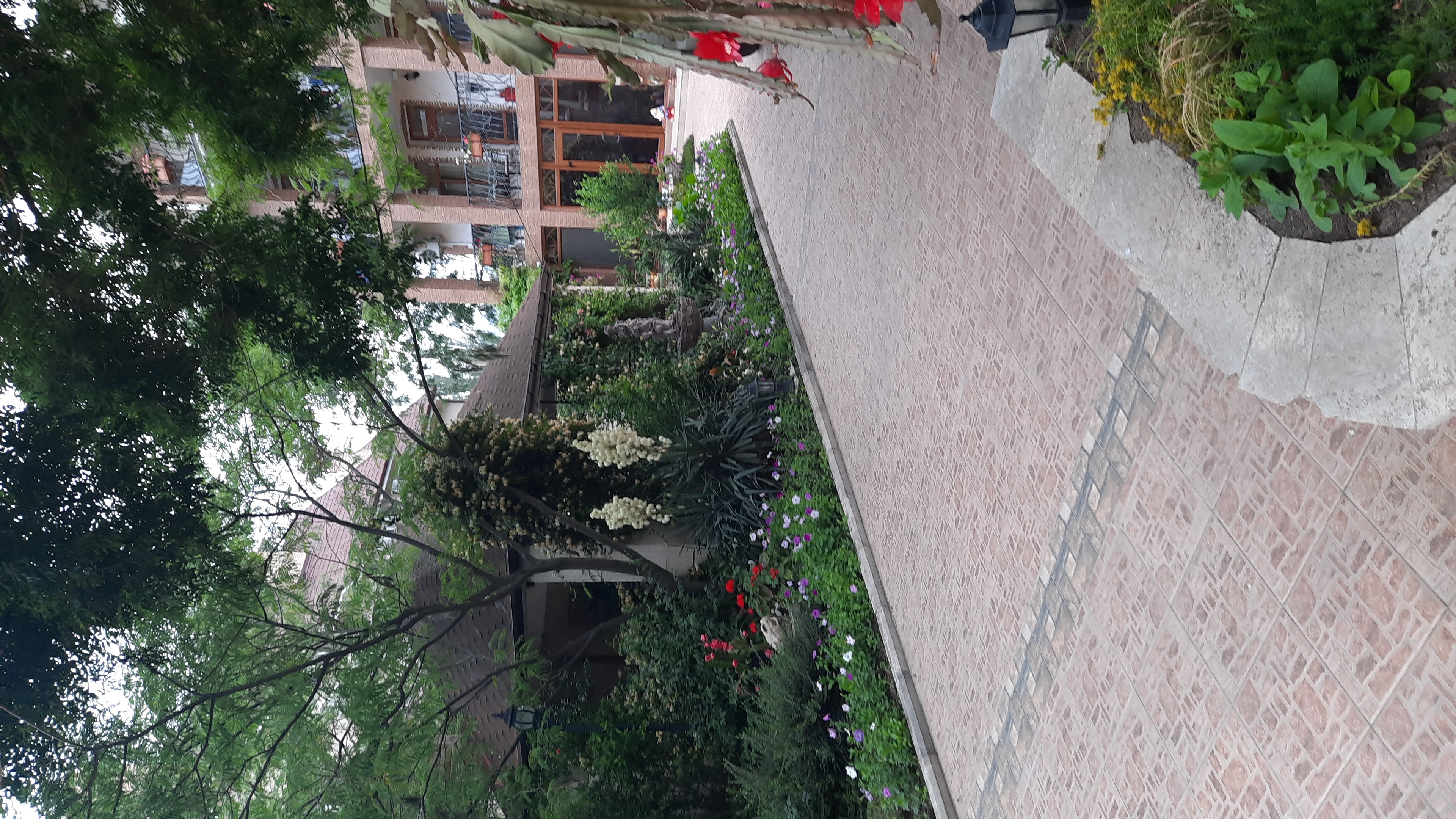 Фото Орхидея