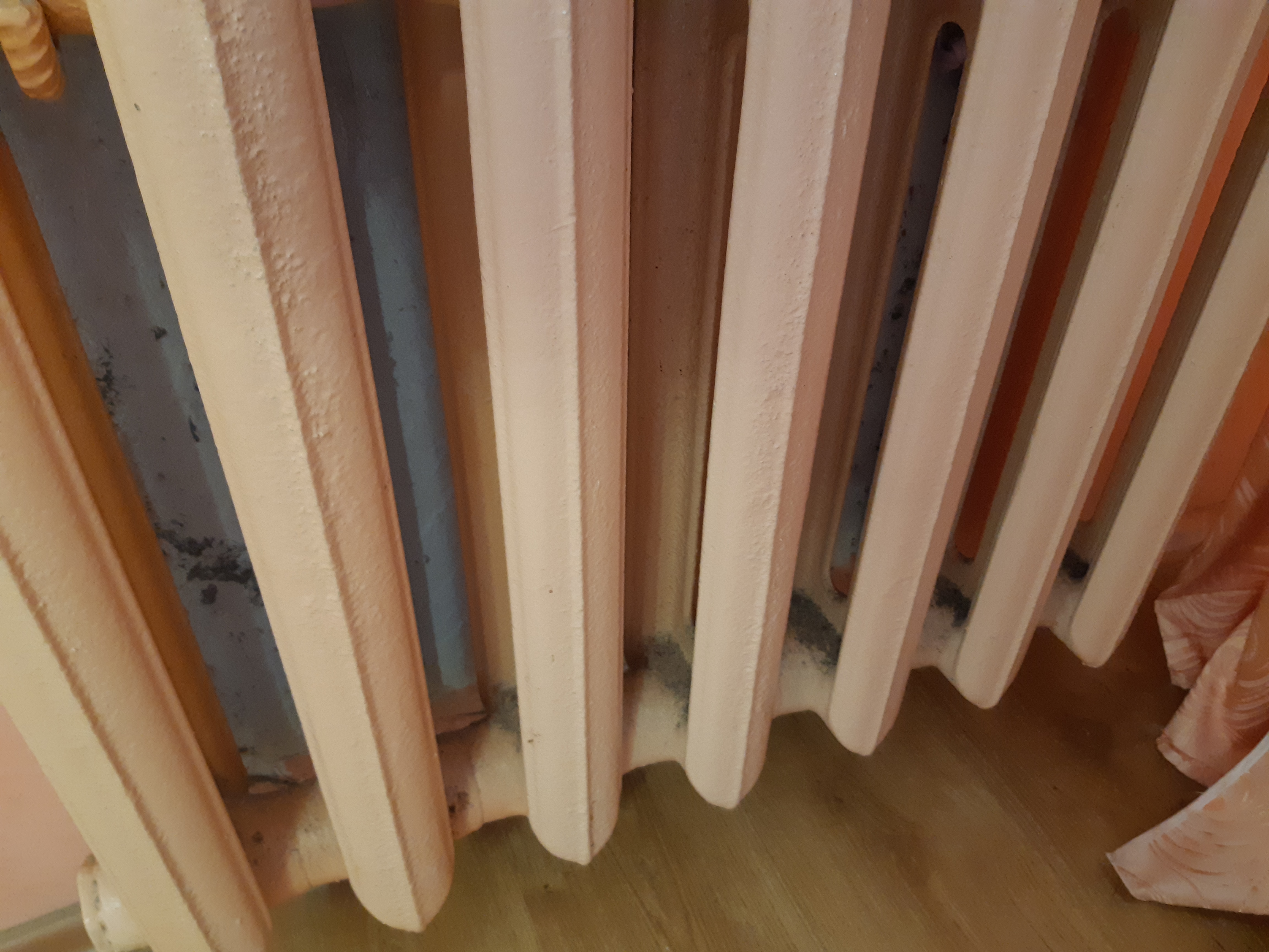 Фото Царское село