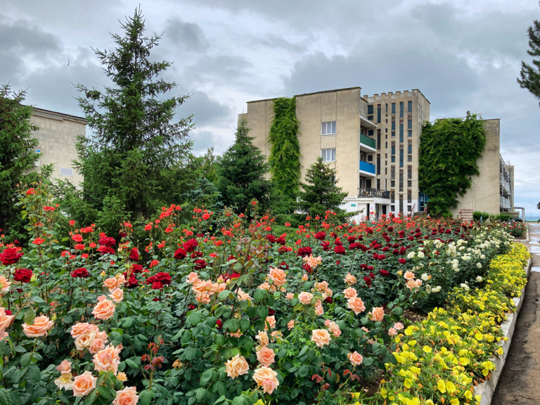 Фото Волна Парк