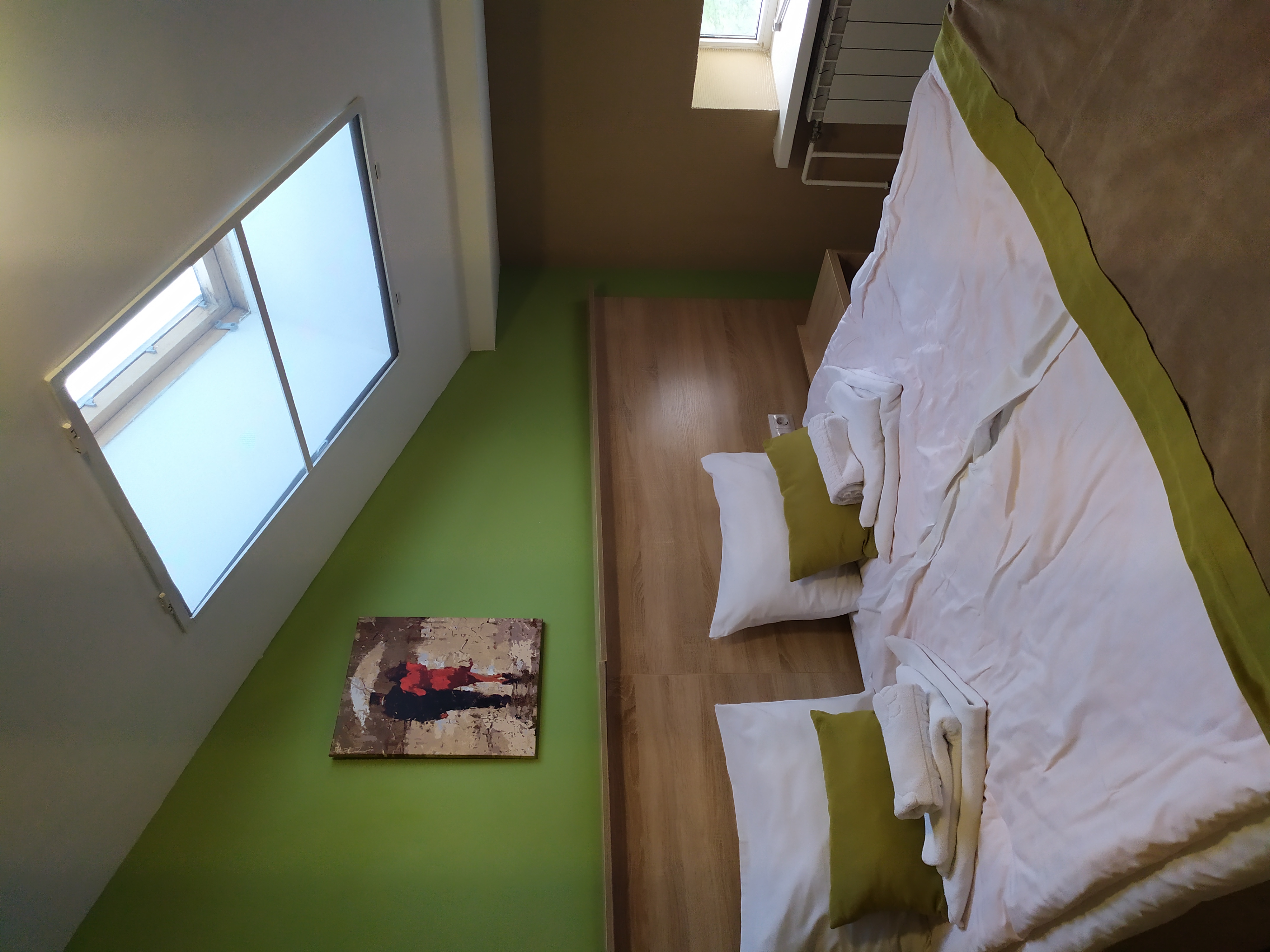 Фото Летучая мышь