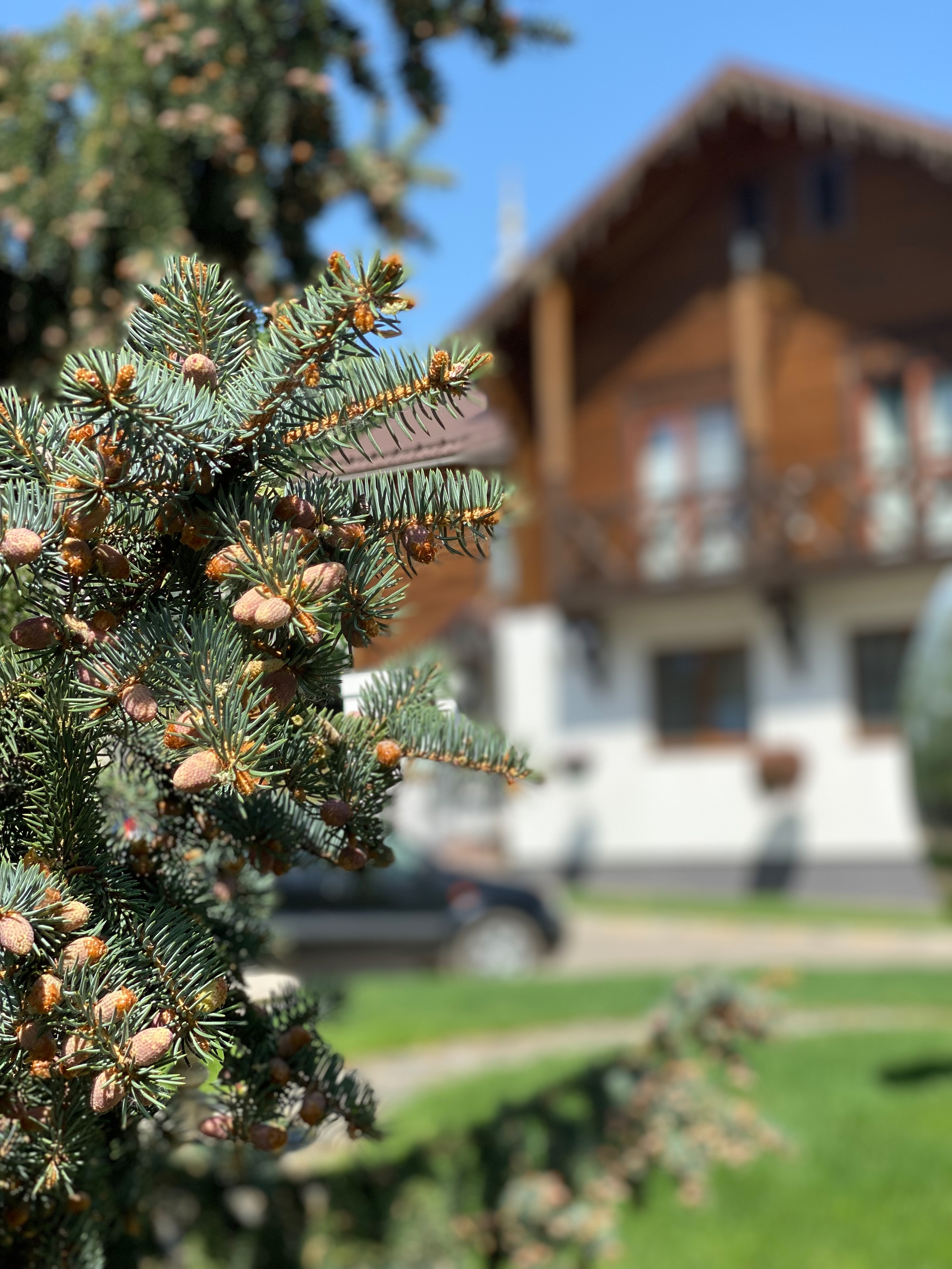 Фото Вознесенская Слобода