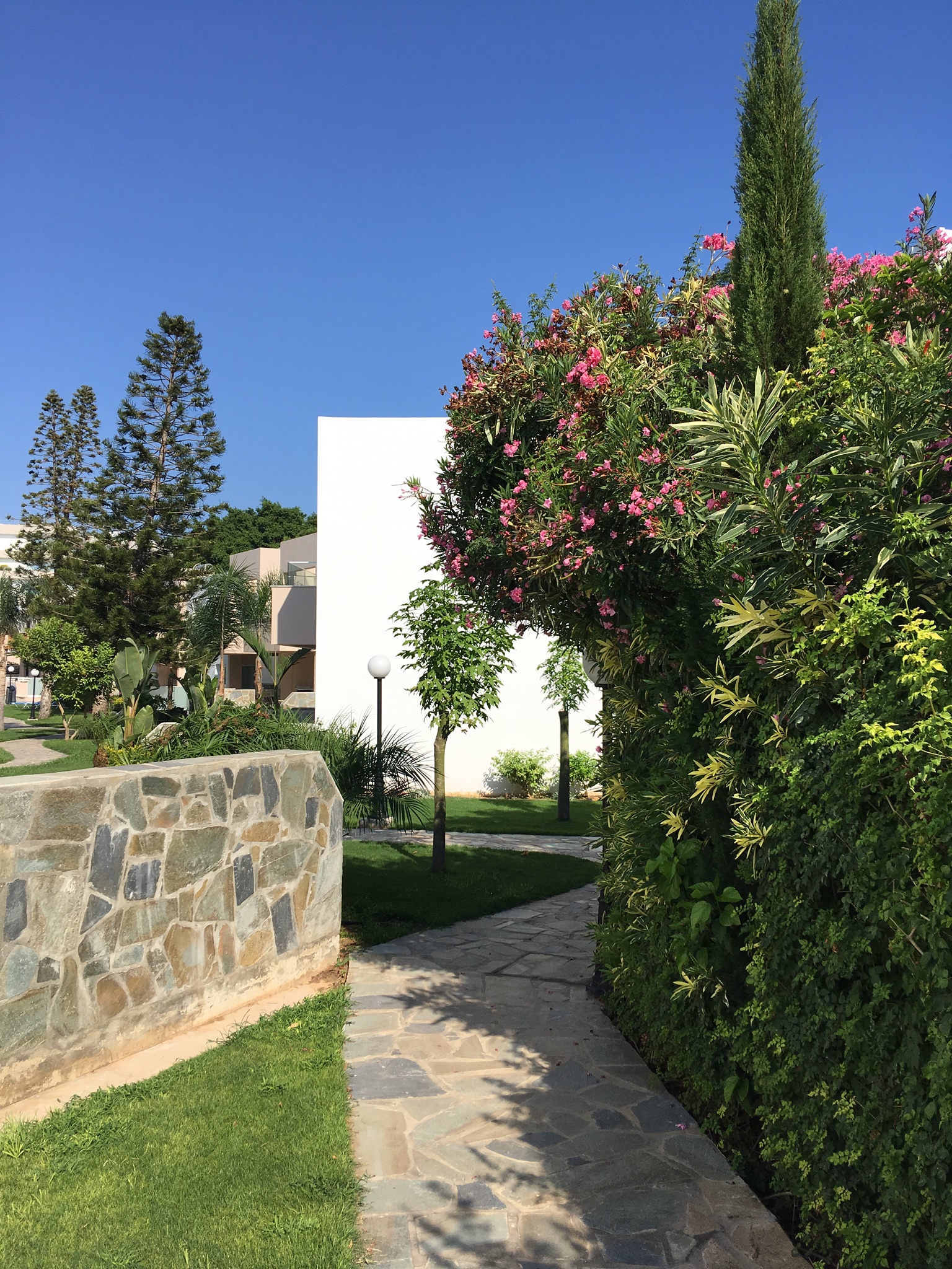 Фото Melissi Beach Hotel & SPA