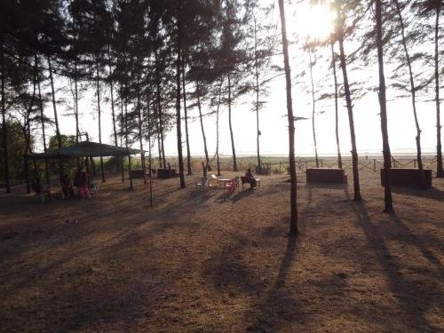 Фото Lotus Eco Beach Resort Murud