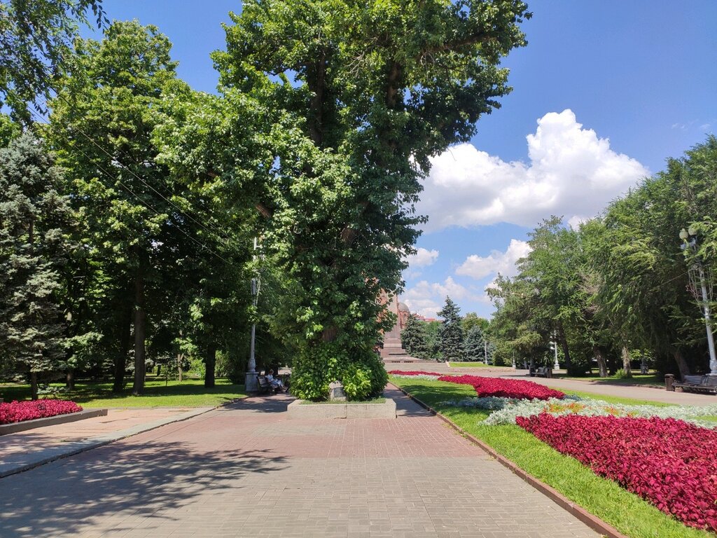Nature Natural and historical monument Poplar, Volgograd, photo