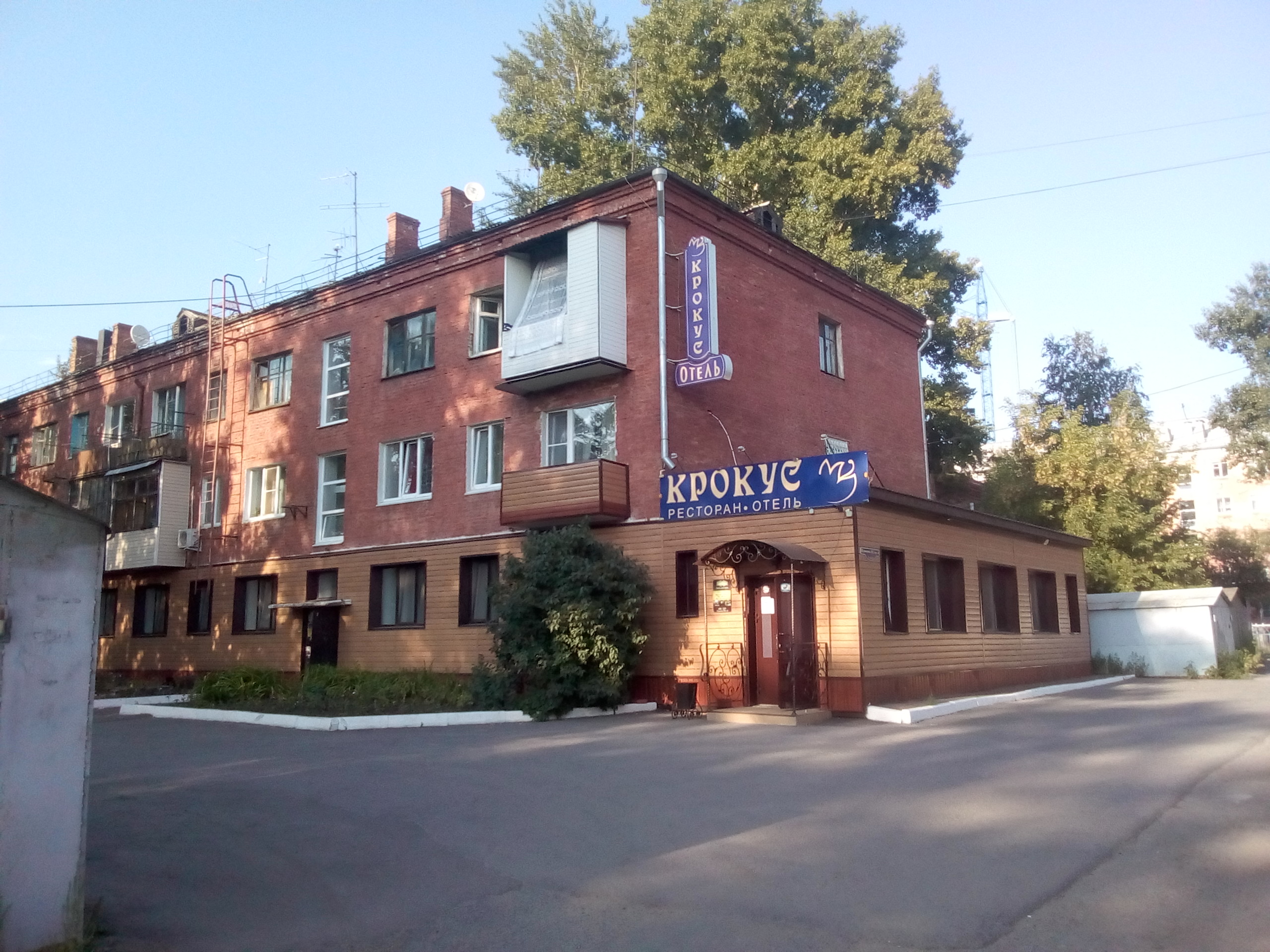 Фото Крокус