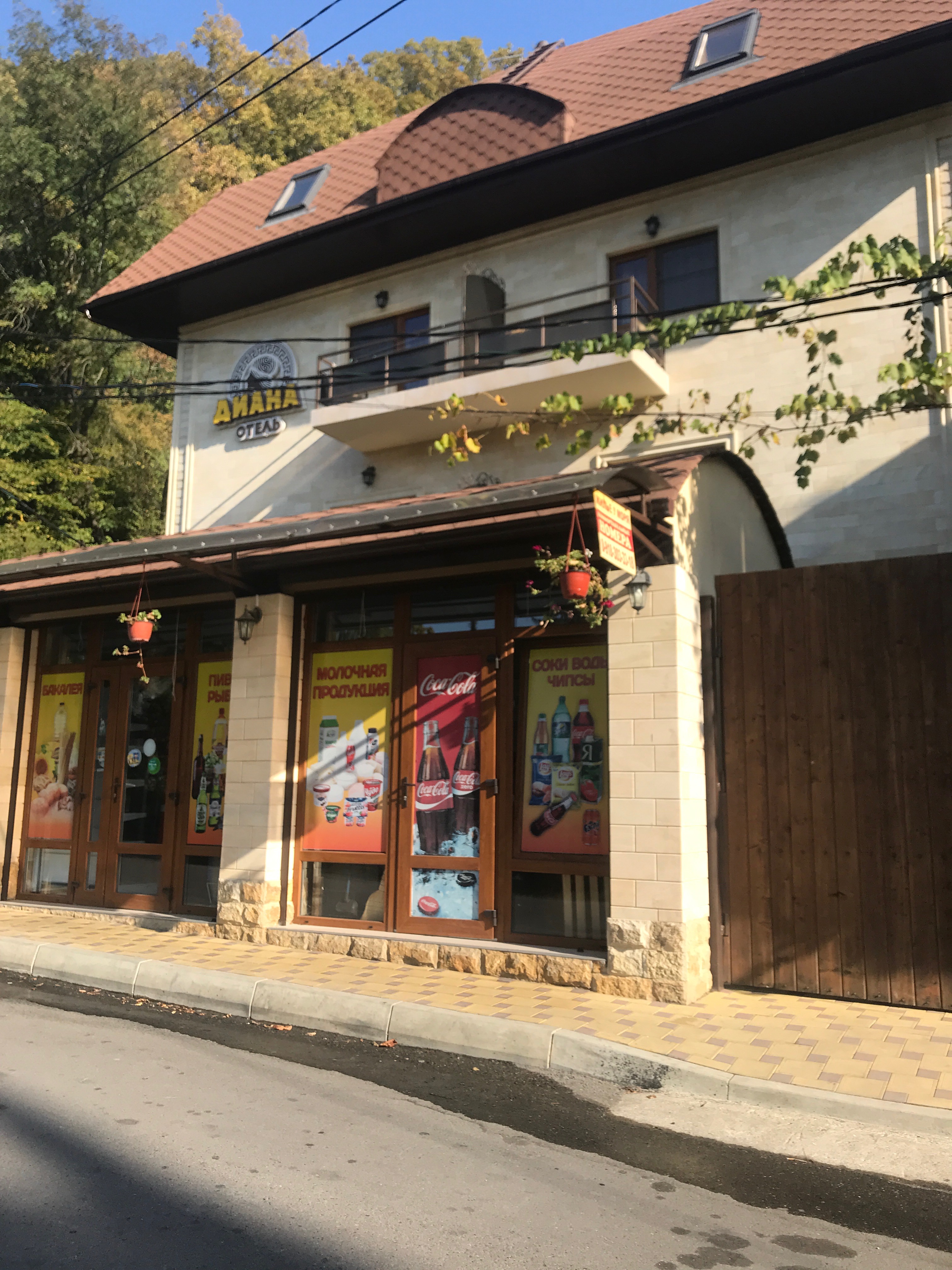 Фото Гостиница Диана