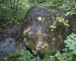 Большой камень (Nizhniy Novgorod Region, Lukoyanovskiy munitsipalny okrug, Shandrovskiy selsovet), landmark, attraction
