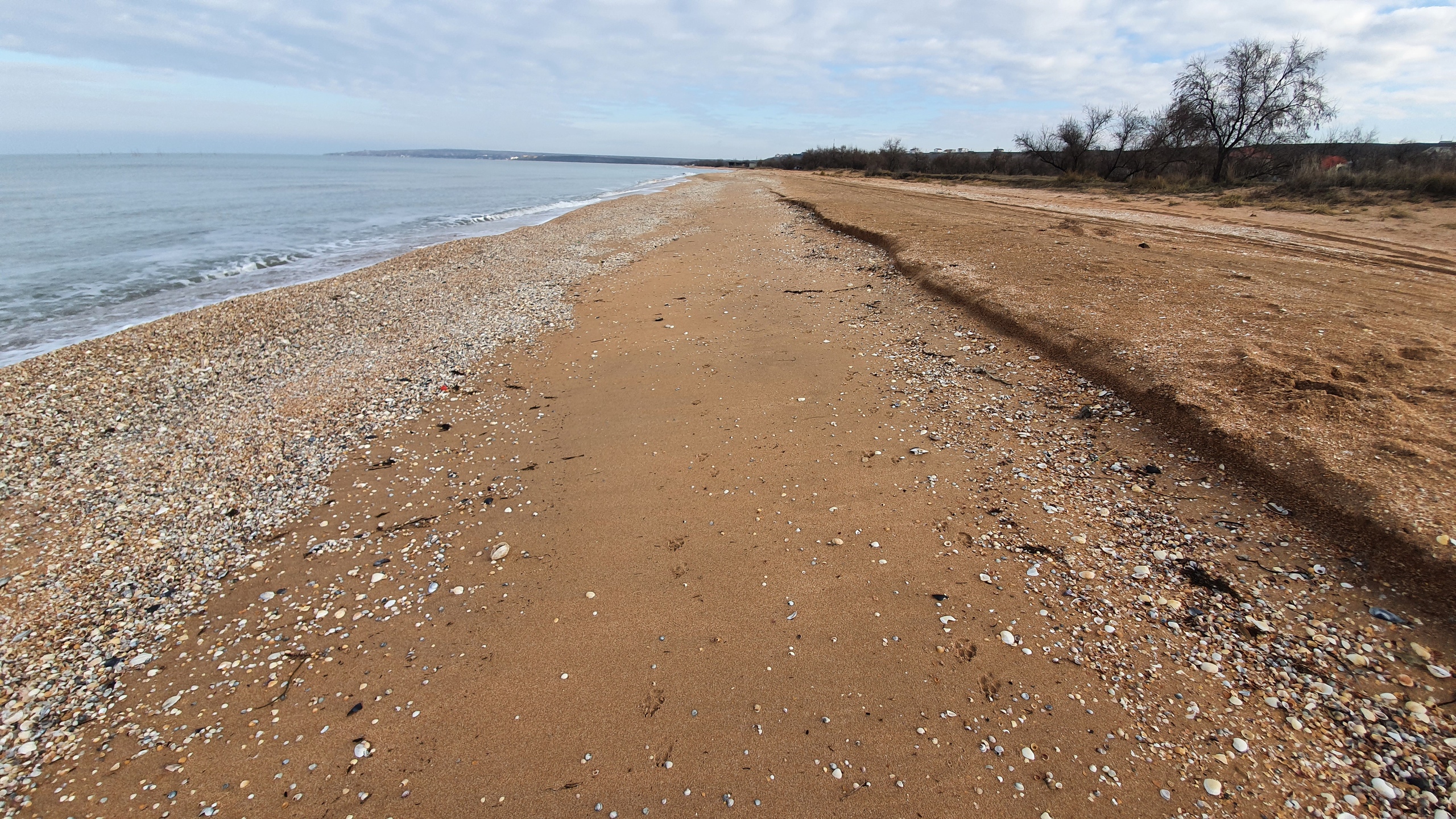 Фото Аврора