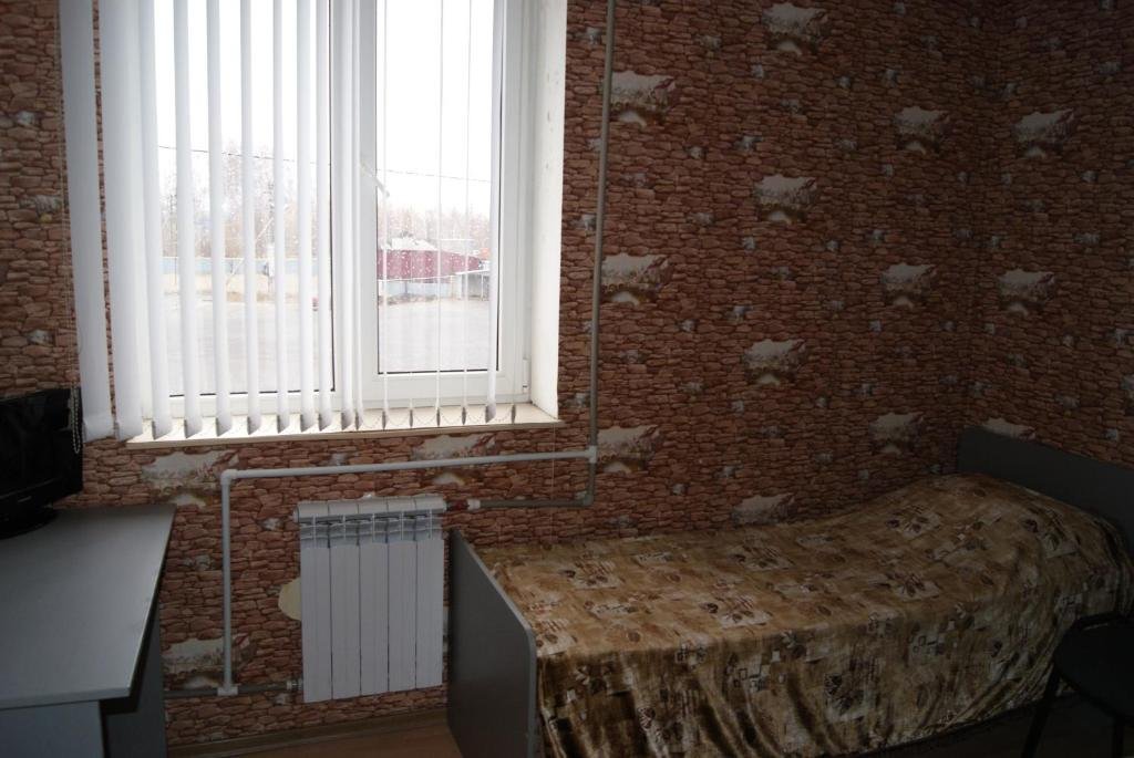 Фото Лебедь