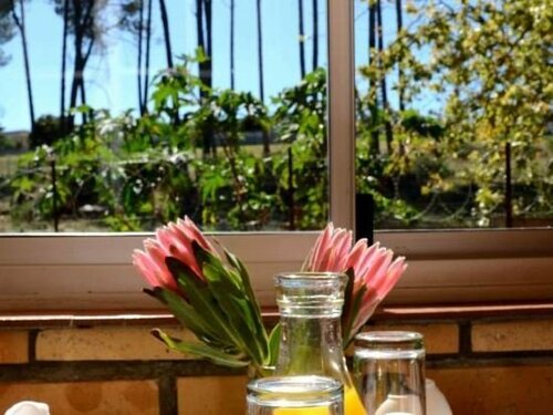 Гостиница Simonsberg Guest House в Стелленбосе