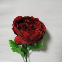 Жасанды өсімдіктер және гүлдер Флора Декор, Санкт‑Петербург, фото