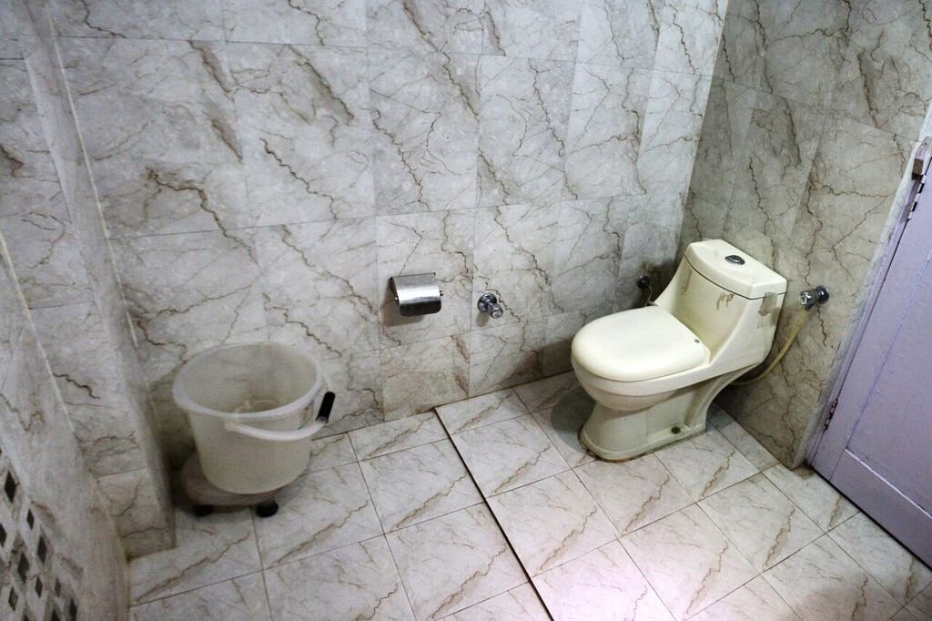 Фото Hotel Vatika