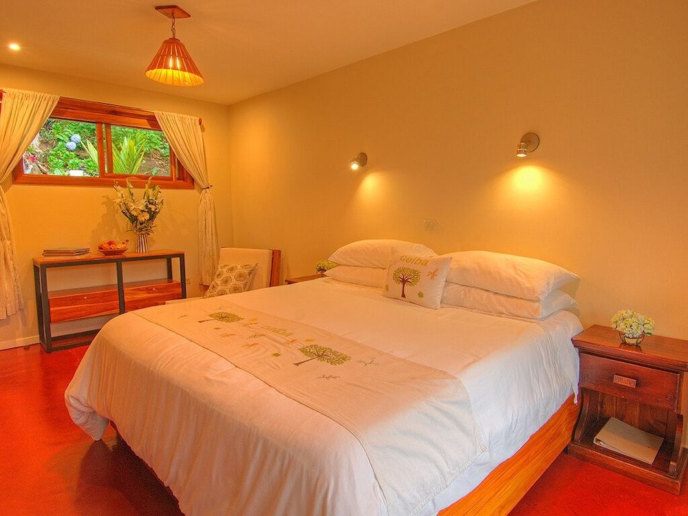 Фото Rio Chirripo